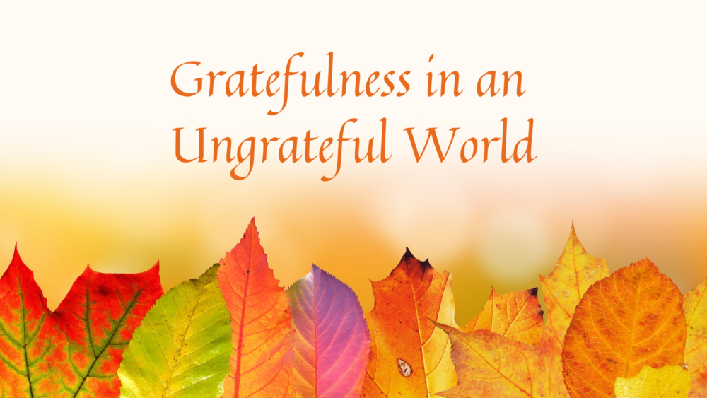 Gratefulness in an Ungrateful World Image